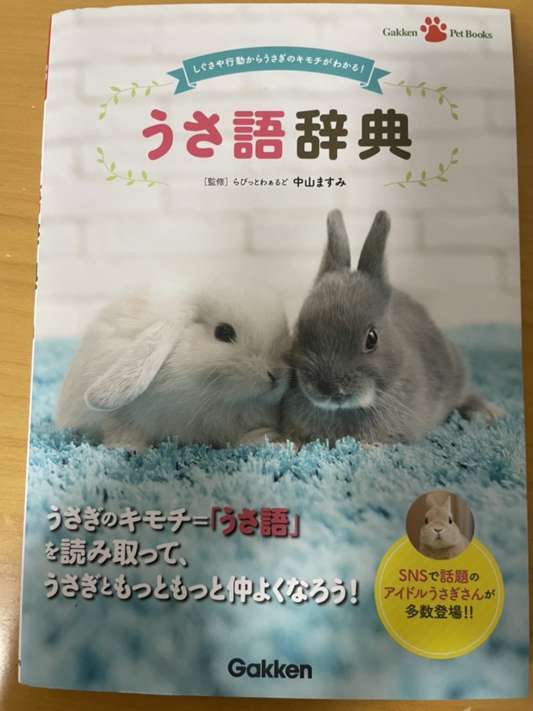 うさぎの飼育本5選をご紹介 初心者におすすめ うさぎのパンダと日常通信 うさぎの飼育本5選をご紹介 初心者におすすめ うさぎのパンダと日常通信