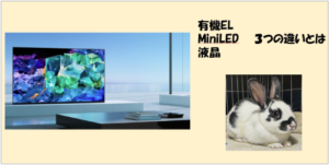 テレビの有機EL・MiniLED・液晶の違いとは？