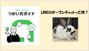 LINEのオープンチャットとは？仕組み・特徴・使い方を徹底解説
